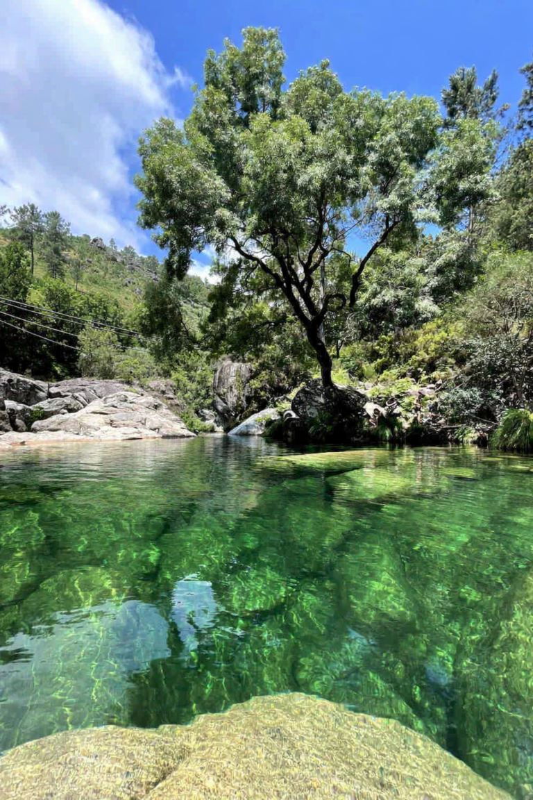 Poço Verde Clear emerald green natural swimming pool