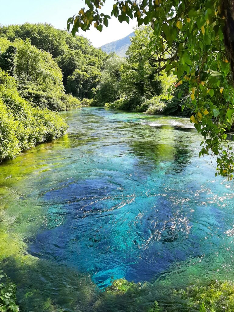 Crystal clear turquoise water of the Blue Eye natural spring in Albania surrounded by lush green forest.